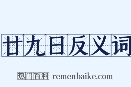 廿九日反义词是什么意思的图片